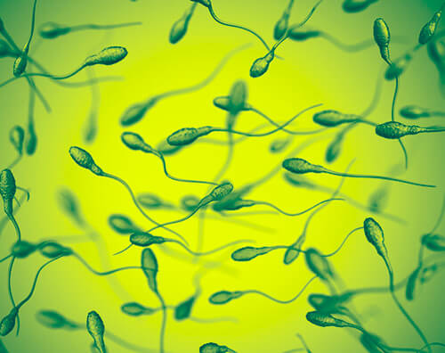 Sperm analysis based on artificial intelligence techniques